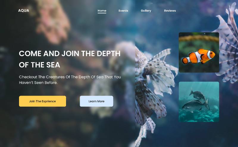 Aquarium web design - Figma Website Template | UI4Free