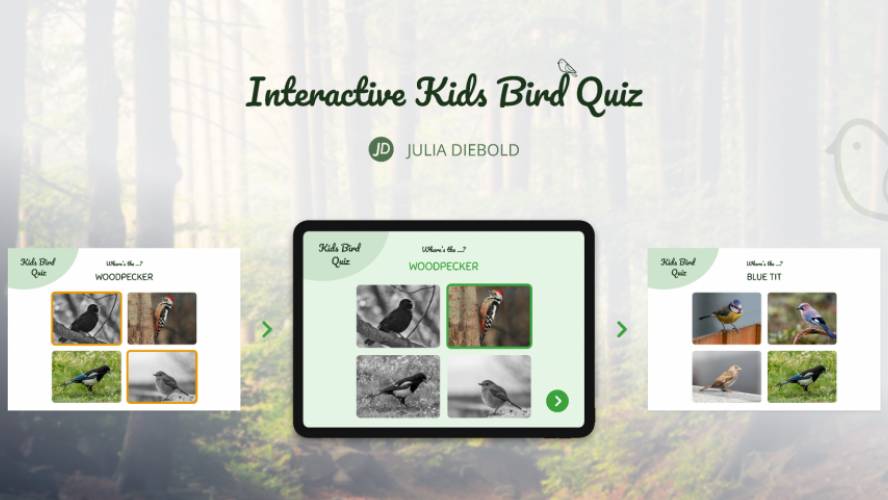 Figma Interactive Kids Bird Quiz