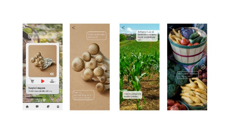Figma Organic Food Mobile App