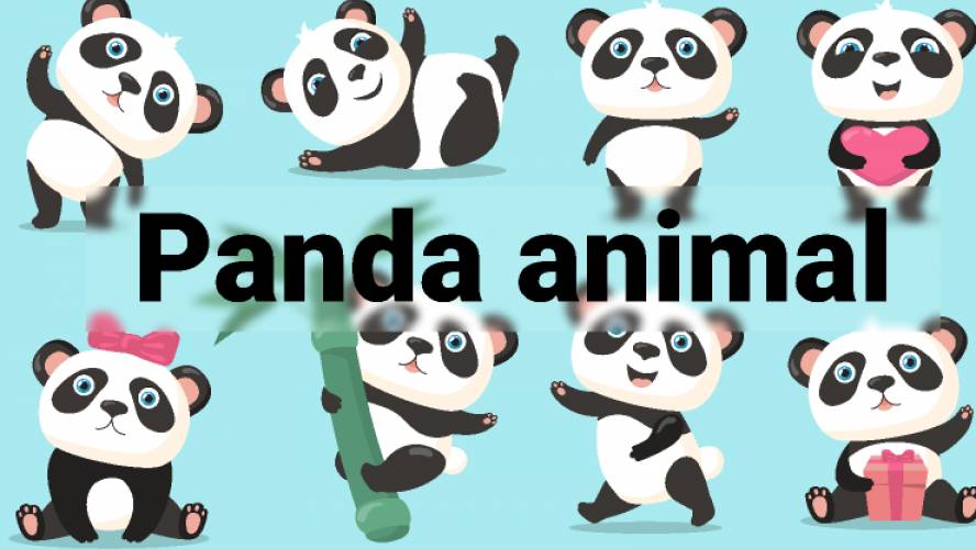 Panda animal figma free