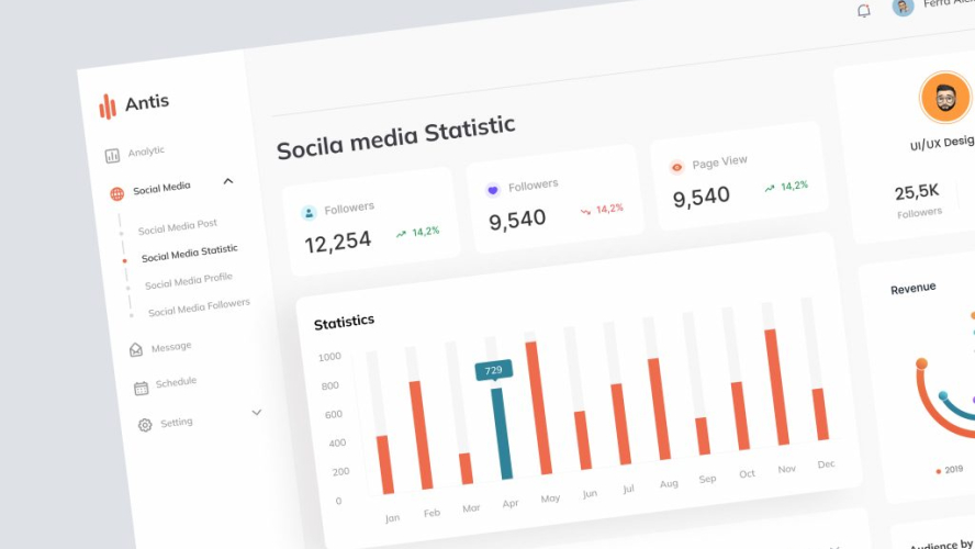 Social Media Statistic UI Design Screen